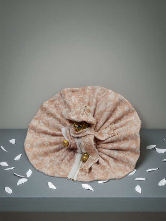 Braj Winter Blossom Poshak Set ladoo dresses laddu gopal dress thakurji kanha ji bal om poshak mathura online best