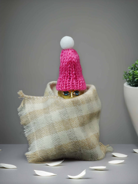 Gopal cap pink wedding winter sherwani Diwali Janmashtami dress ladoo dresses laddu gopal dress thakurji kanha ji bal om poshak mathura online best mandir wholesaler manufacturer