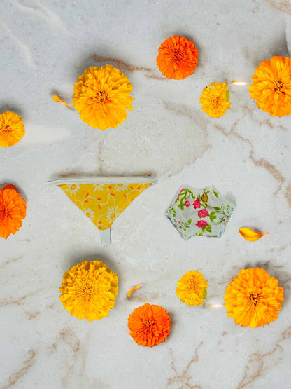 Braj Janmotsav Laddu Gopal Janmashtami Special Hamper