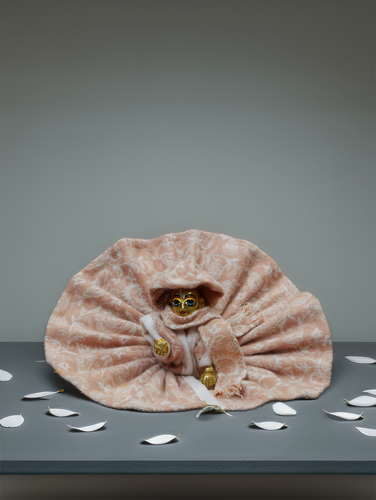 Braj Winter Blossom Poshak Set ladoo dresses laddu gopal dress thakurji kanha ji bal om poshak mathura online best